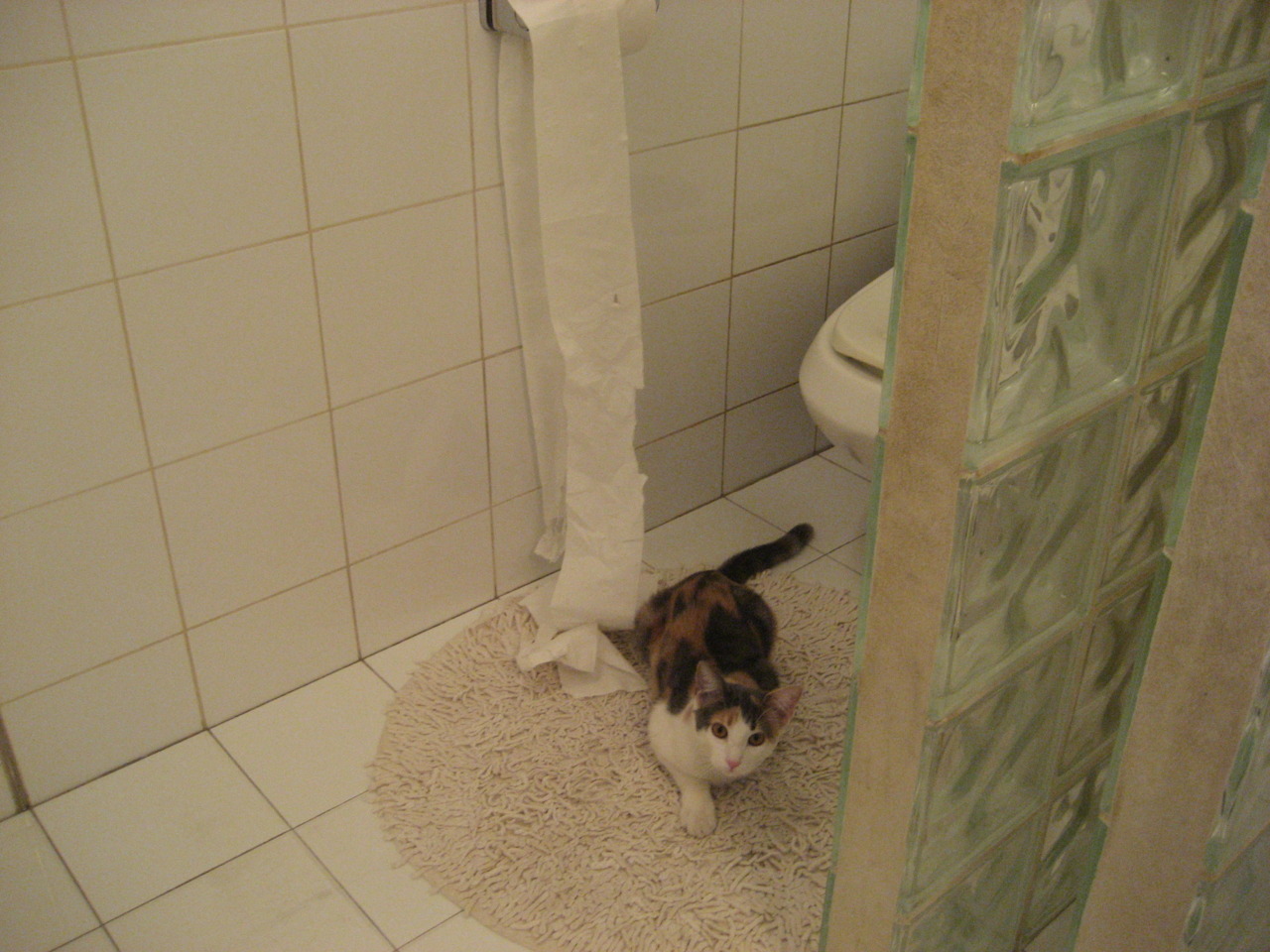 爱游戏综合娱乐-全国马拉松接力赛，团队奋战共创佳绩，马拉松接力几个人跑